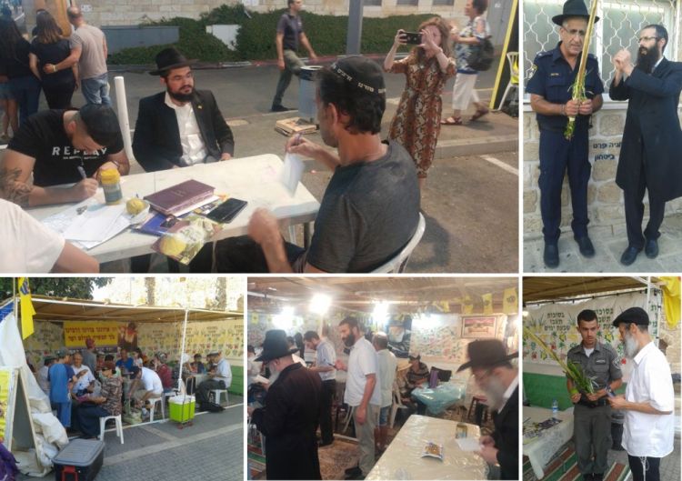 חב"ד פסטיבלים בעכו