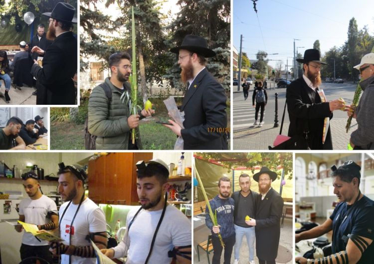 פעילות תשרי בקישינב, מולדבה