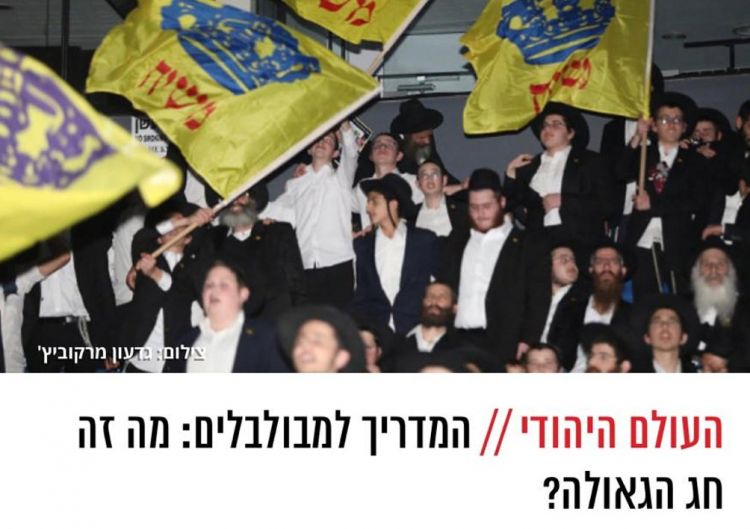 מדריך למבולבלים - מי מבולבל?