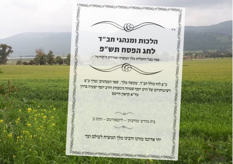הלכות ומנהגי פסח לשנה זו