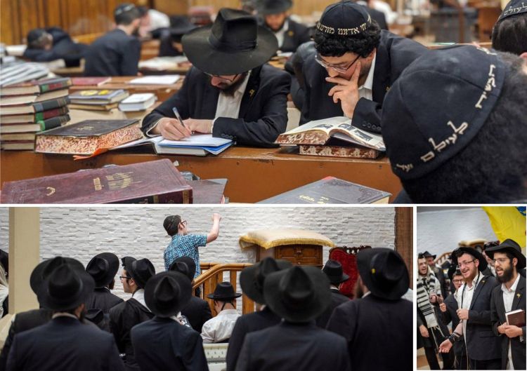 חשבון נפש מחסידים אל חסידים