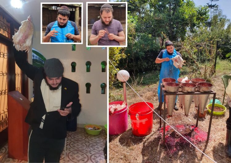 770 עופות בשחיטה "מהדרין" בניירובי