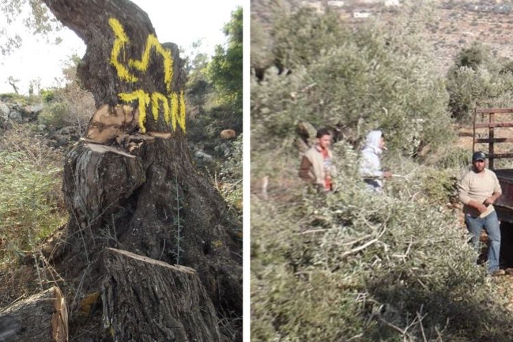 את זה המשטרה והשב"כ לא יחקרו