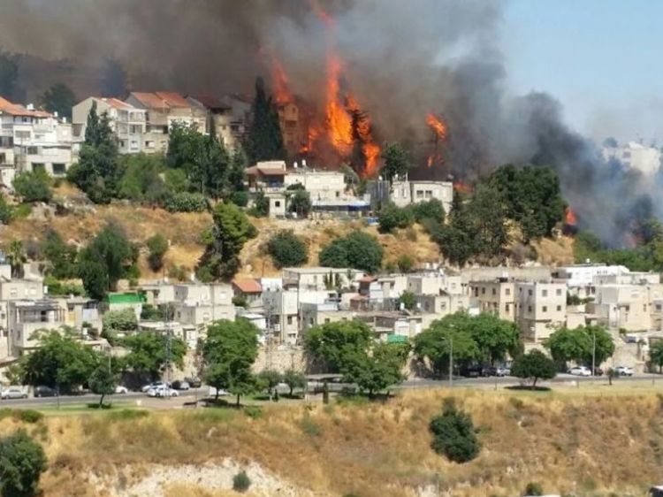 לתרום לקרן ההצלה