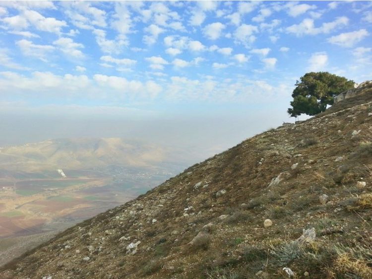 בועז העצני: תם האליבי של ביבי