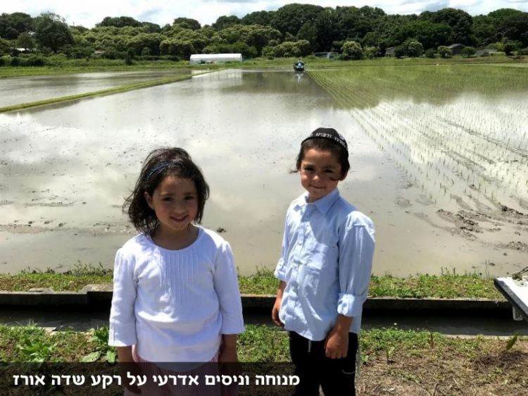 חדשות ונופים מיפן - בית חב"ד טוקיו