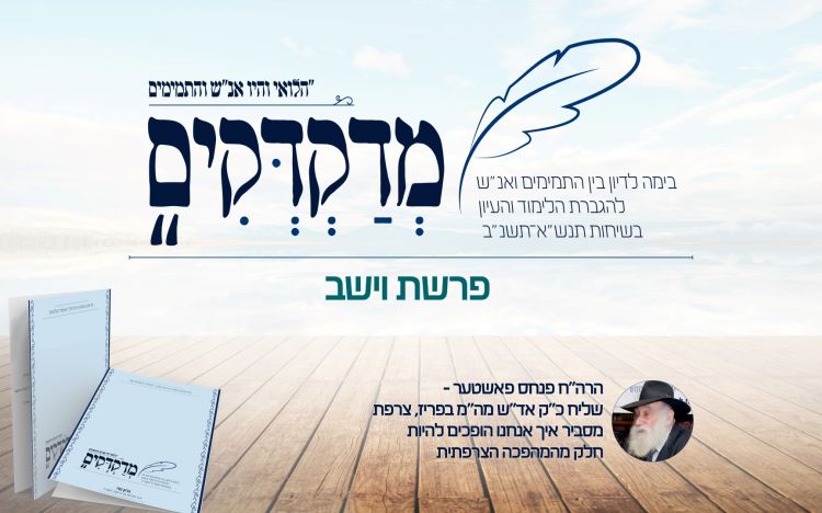 "מדקדקים" על דבר מלכות וישב