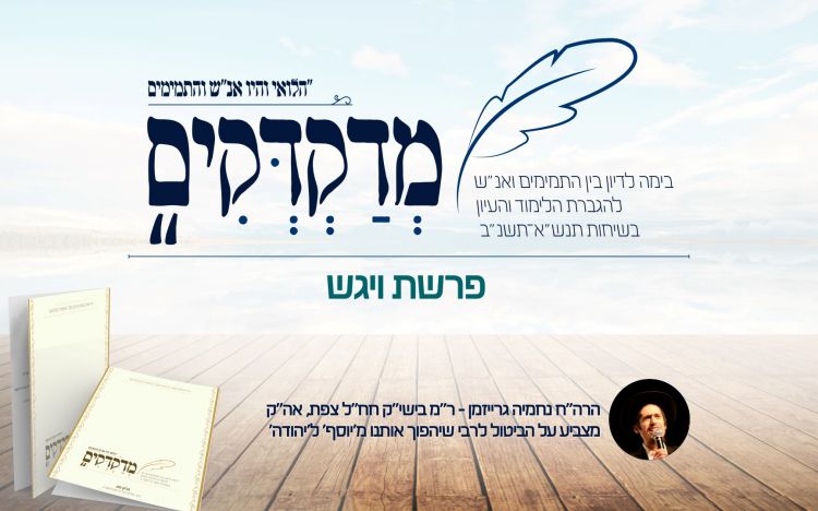 מדקדקים מס 49 על דבר מלכות ויגש