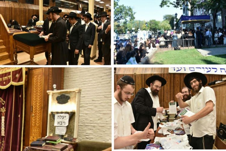 הגלריה השבועית מ770 לפ' שופטים