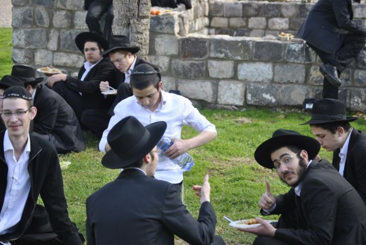 מסע התמימים בעקבות הרבי הריי"צ