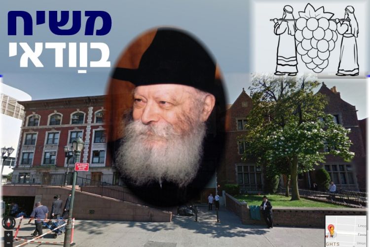 משיח בוודאי בפרשת שלח // דעה