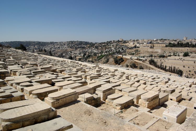 בקרוב: נפרדים מהפרידה