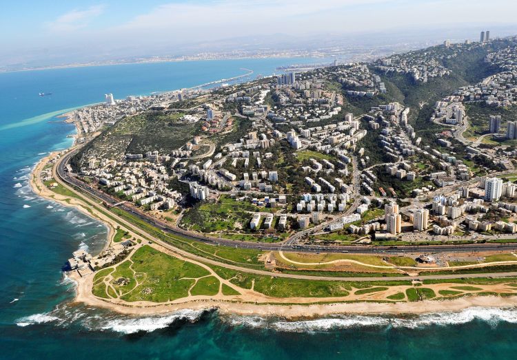 לאחר שנה של חרדה: גובש פתרון לתופעת חזירי הבר ברחובות חיפה