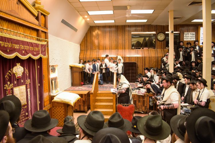 י' שבט בבית משיח: גלריה מרהיבה מתפילת שחרית