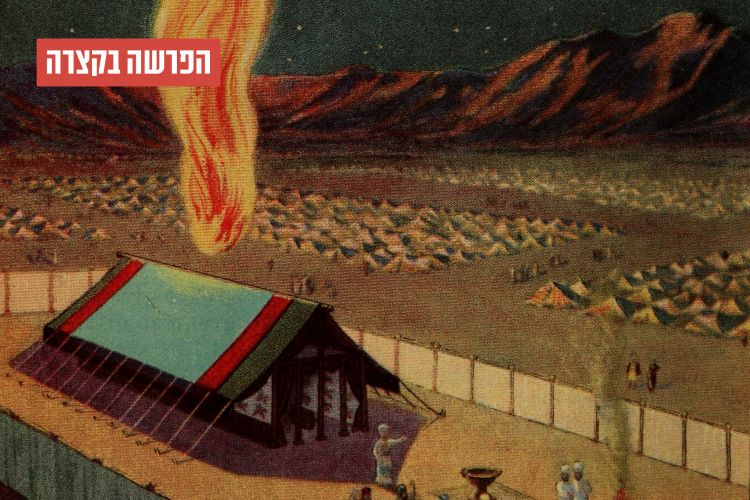 הפרשה בקצרה: דיני הקרבנות, איסור אכילת דם ודיני מעילה