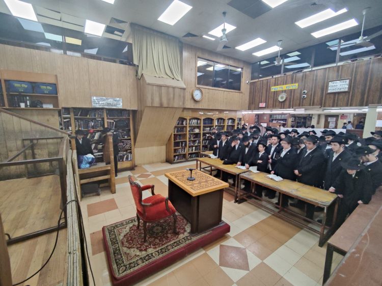 מאות ביחידות כללית לאורחים בבית משיח