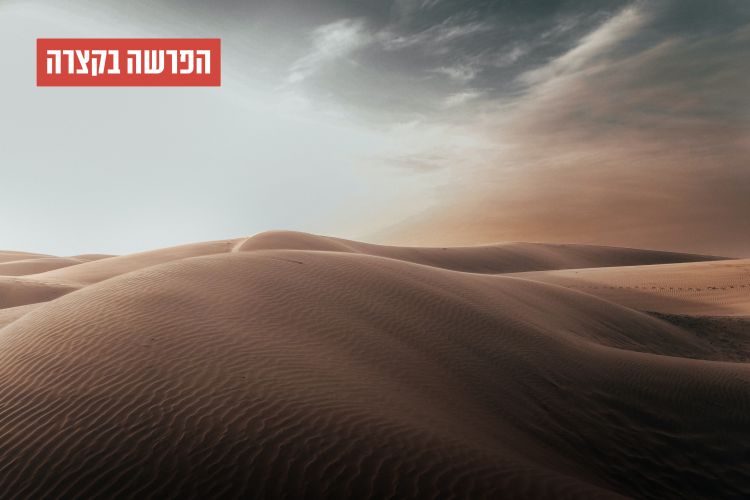 הפרשה בקצרה: מנין עם ישראל וחנייתם במדבר