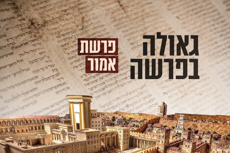 חינוך לשלימות: האם זה אפשרי?