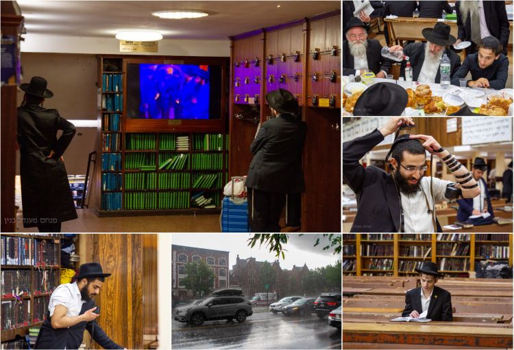 הגלריה השבועית מבית משיח שבוע פרשת חוקת