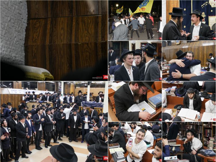 הגלריה השבועית מבית משיח שבוע פרשת כי תצא