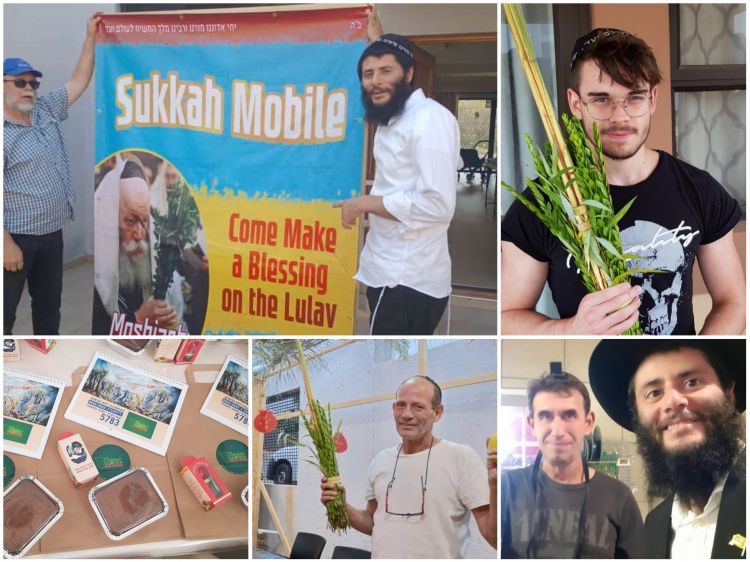 נמיביה ללא הפסקה: סיכום פעילות חודש החגים