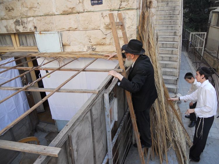 הלכות סוכה - כיצד נקיים את המצווה