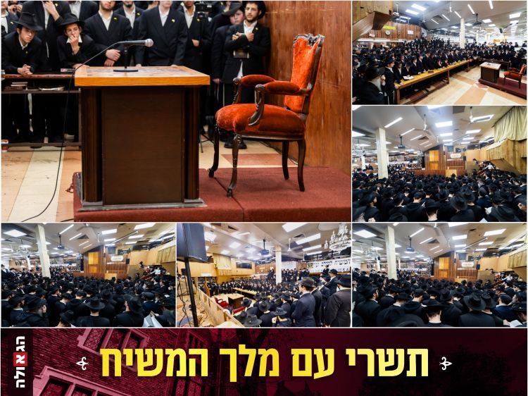 770: מאות חסידים במעמד "יחידות כללית"