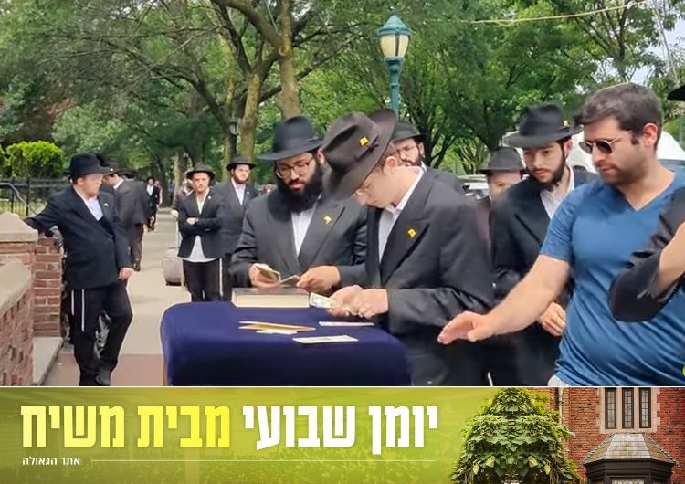 יומן שבועי מבית משיח: שבוע פרשת במדבר
