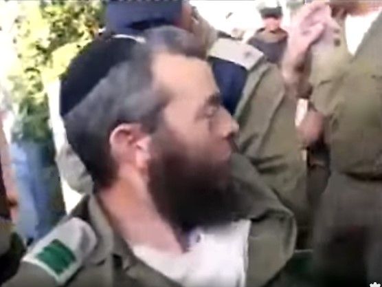 ומה בפועל?  לא דובים ולא יער