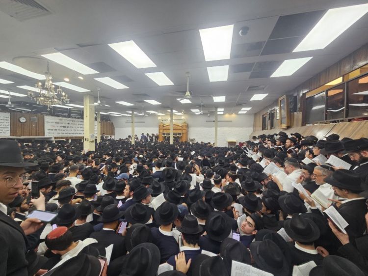 קהילת חב"ד בפארק בשבת סליחות ב-770
