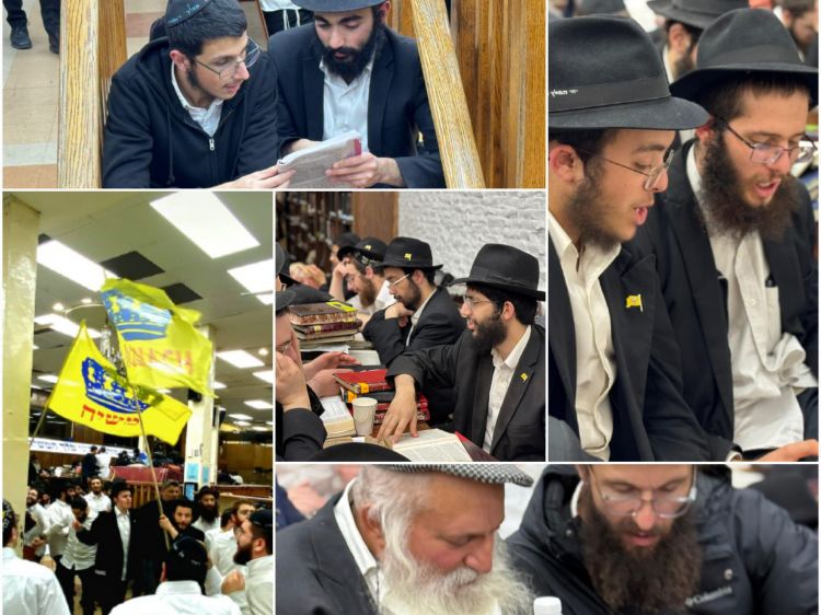 גלריה שבועית מ-770: שבוע פרשת לך לך