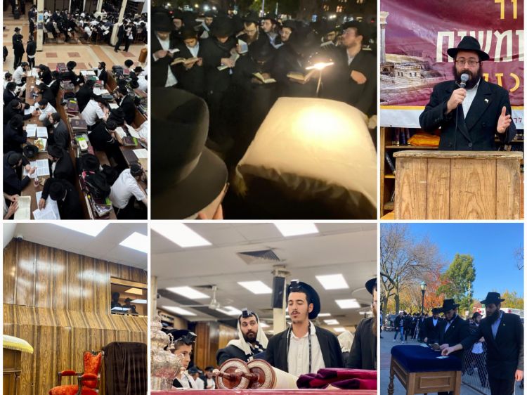 הגלריה השבועית מבית חיינו: שבוע פרשת וירא