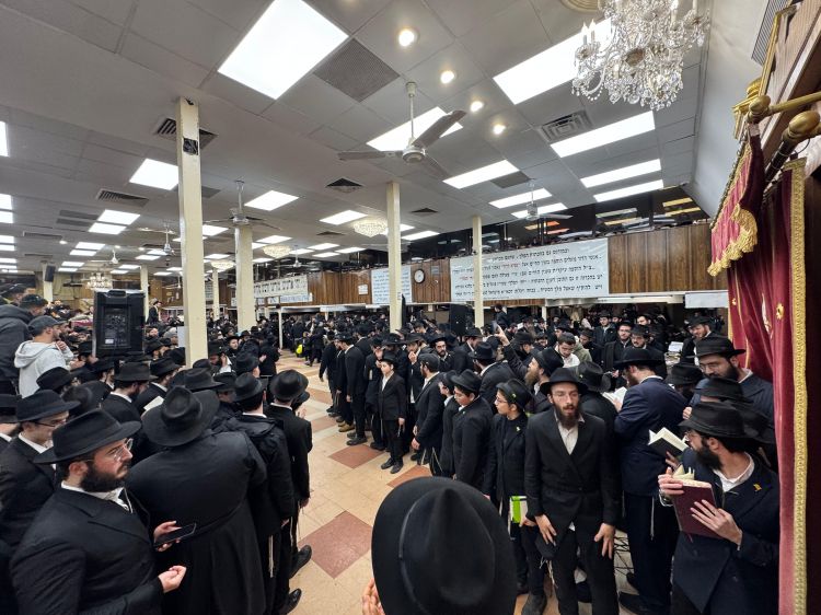 הגלריה השבועית מבית משיח: פרשת יתרו