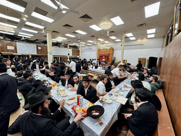 הגלריה השבועית מבית משיח: פרשת משפטים