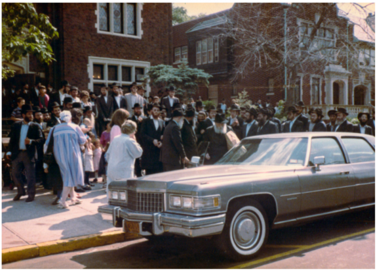 עלי הגהה, תמונות, וידיואים מענות בפרסום ראשון | תשורה להורדה