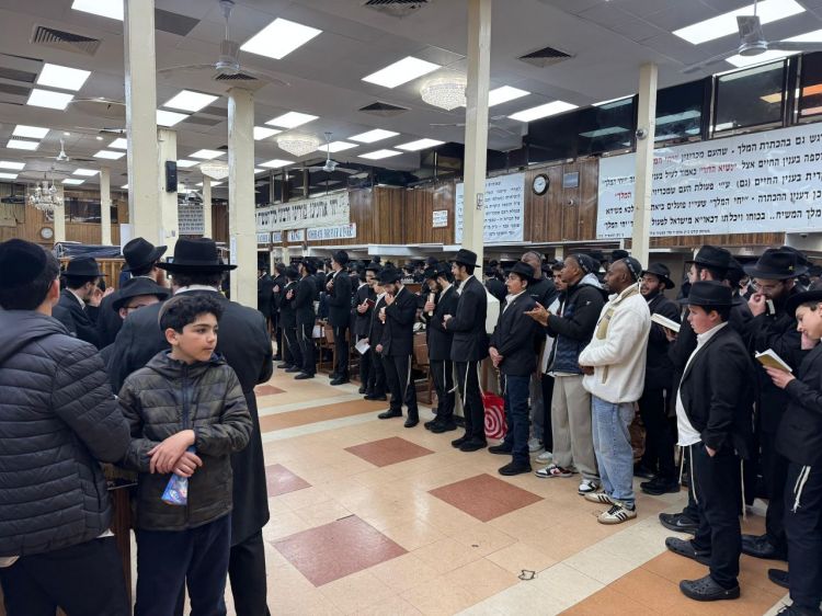 יומן שבועי מ 770-בית משיח, שבוע פ' תזריע-מצורע