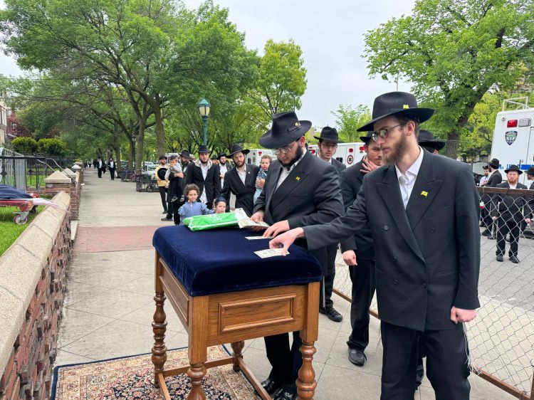 הגלריה השבועית מ770: פרשת במדבר