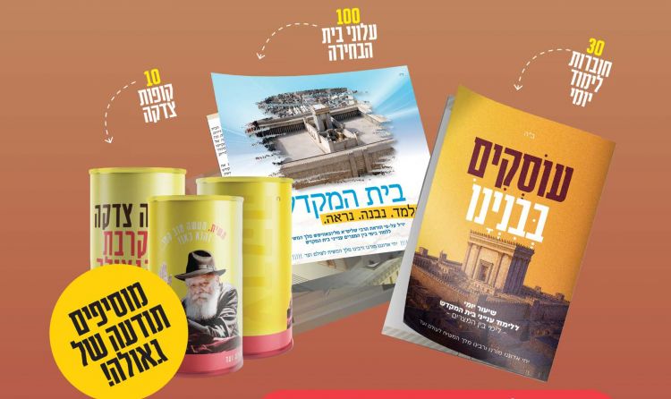 הילדים בחופש? קחו אותם לאתר הבנייה!