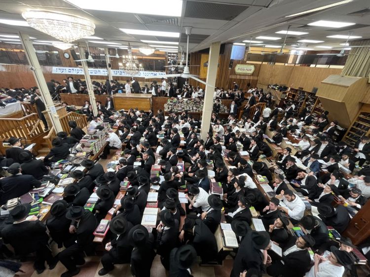 770: התמימים לומדים גאולה ומשיח