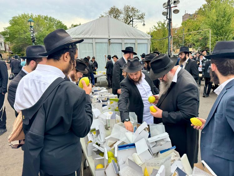 אלחנן סגל תיעד: קראון הייטס מתכוננת לחג הסוכות