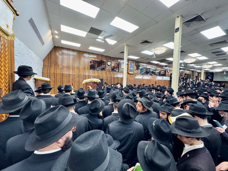 מידי לילה בחול המועד: שיחת קודש וחלוקת שטרות לצדקה