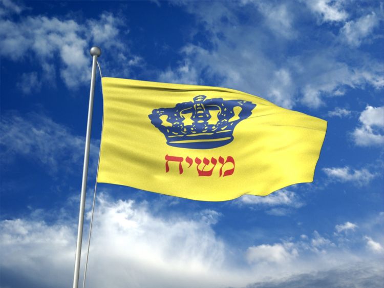 דרושים שני שלוחים בדחיפות