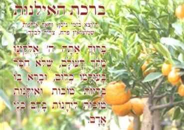 תזכורת: היום האחרון לברכת האילנות 