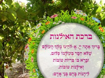 ברכת האילנות • חודש ניסן