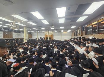 קהילת חב"ד בפארק בשבת סליחות ב-770