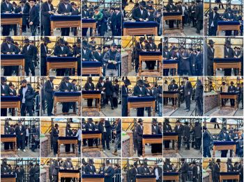 גלריית ענק: 'כבקרת רועה עדרו' השלוחים מול המשלח