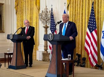 מי הראש שלנו? // טור דעה נוקב