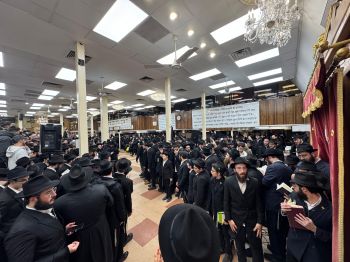 הגלריה השבועית מבית משיח: פרשת יתרו