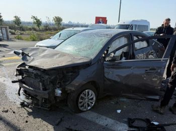 ניסי שאגת הארי