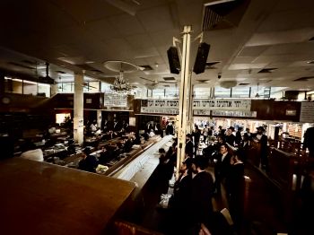 הגלריה השבועית מ770: לקראת חג השבועות